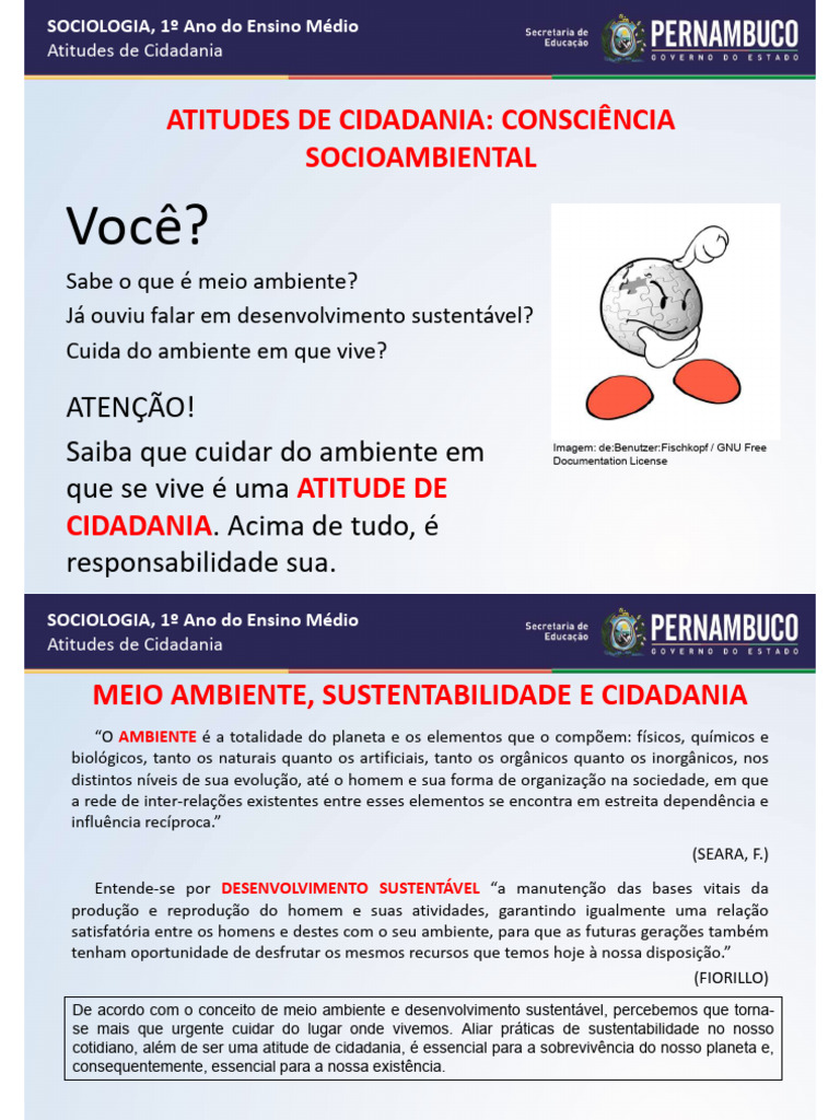 Cidadania e Sustentabilidade Ambiental | PDF