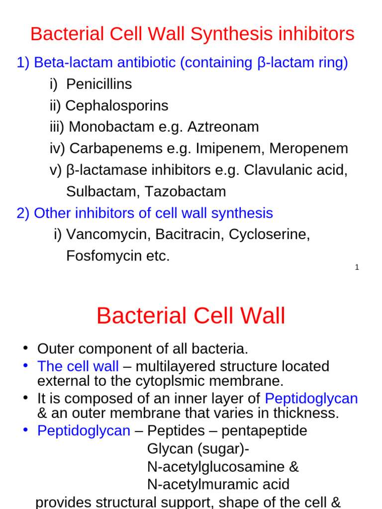 Bacterial Cell Wall Inhibitors Overview | PDF | Penicillin | Beta Lactamase