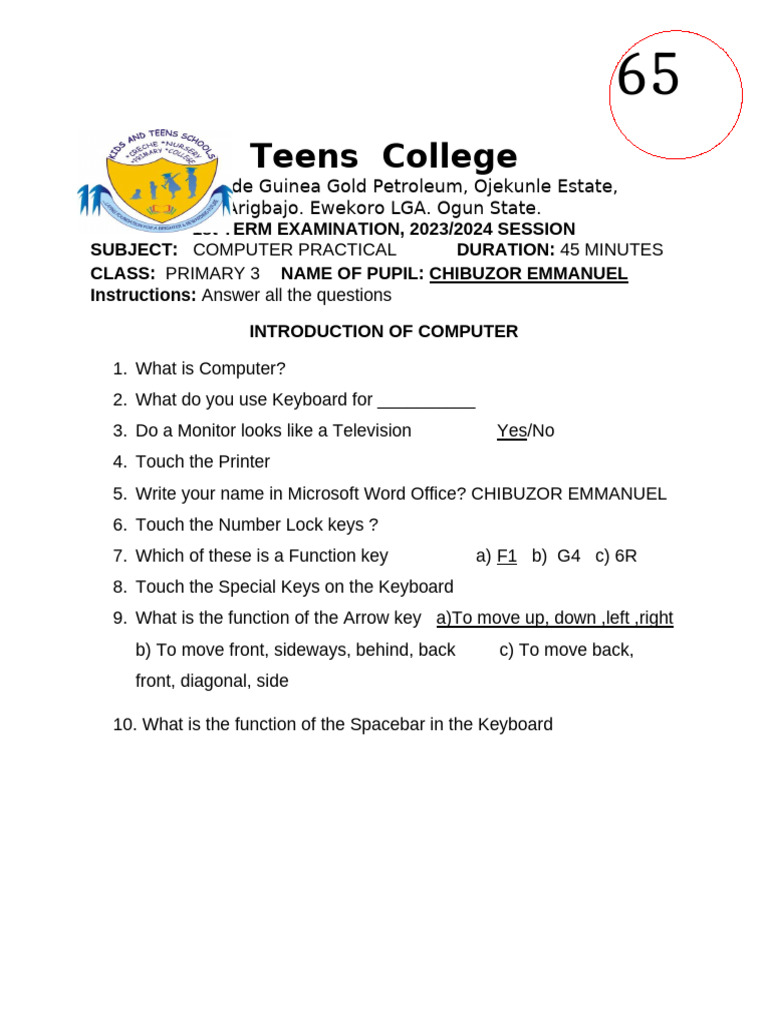 Primary 3 Computer Practical Exam | PDF | Computer Keyboard | Chess Theory