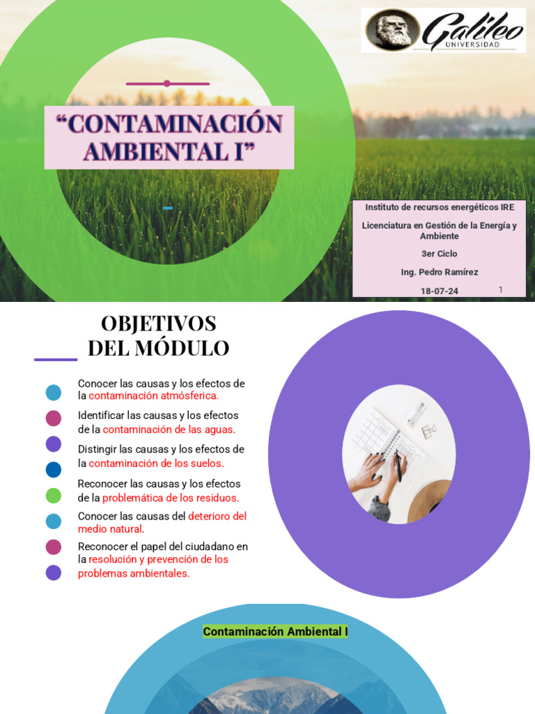 Causas y Efectos de la Contaminación Ambiental | PDF | Contaminación ...