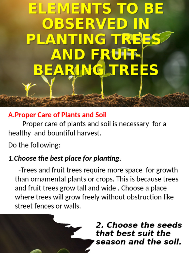 Tree Planting and Care Guide | PDF | Seed | Manure