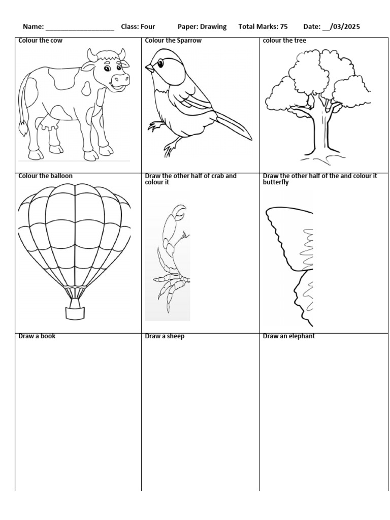 Drawing and Coloring Activities for Kids | PDF