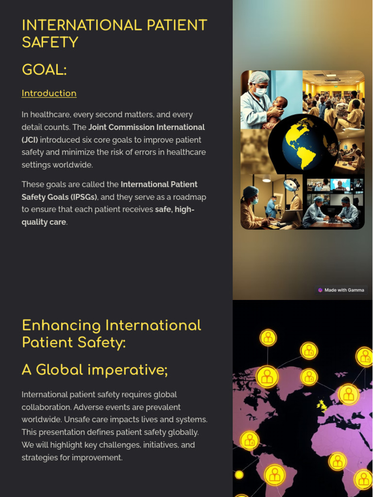 International Patient Safety Goals Guide | PDF