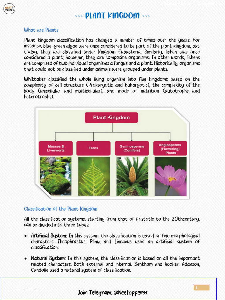 Plant Kingdom Classification Overview | PDF | Moss | Botany