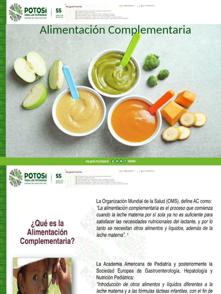 Guía de Alimentación Complementaria | PDF