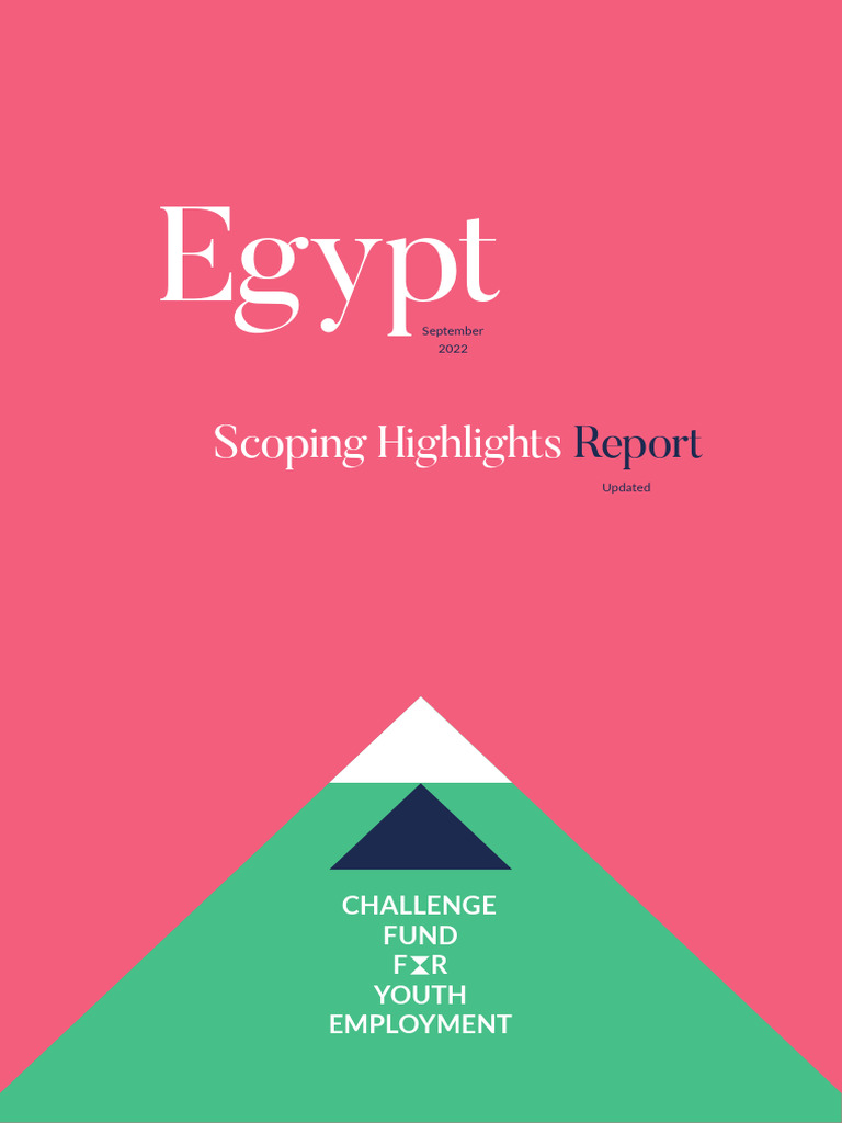 CFYE Egypt Youth Employment Report | PDF | Employment | Labour Economics