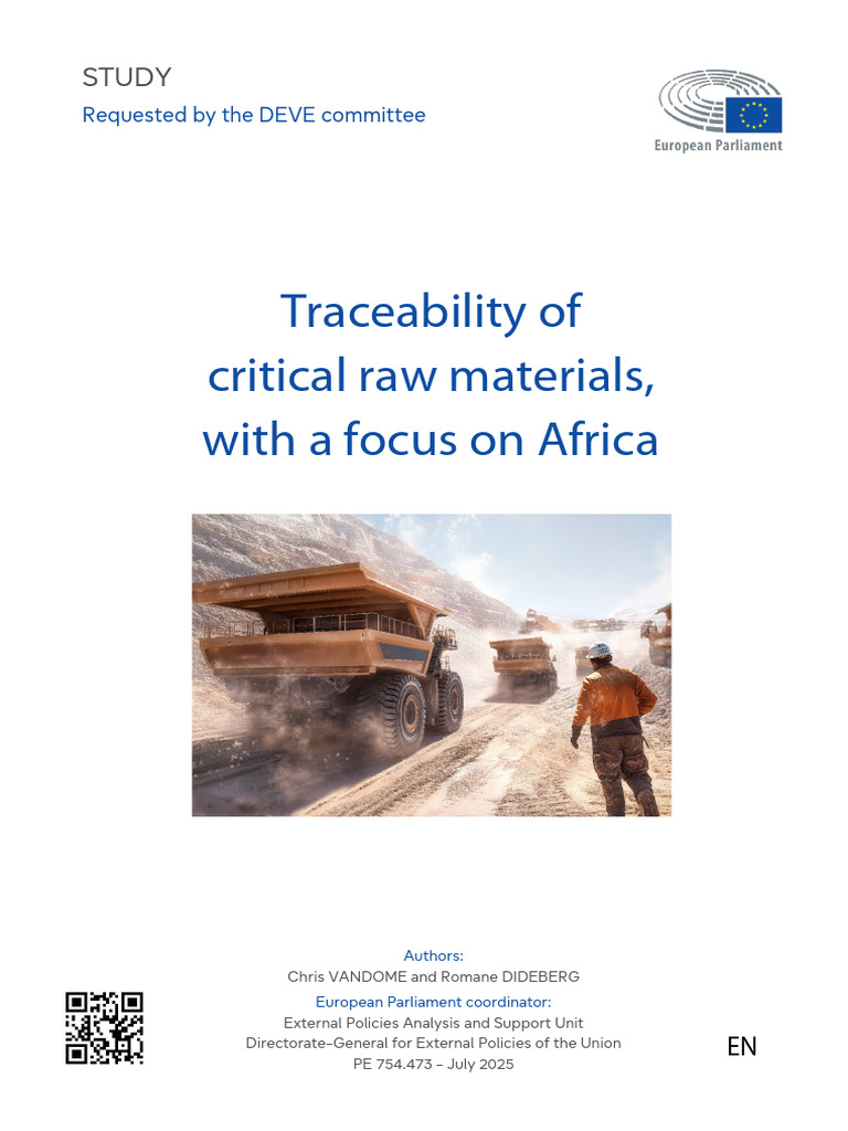 Traceability of Critical Raw Materials in Africa | PDF | Mining ...