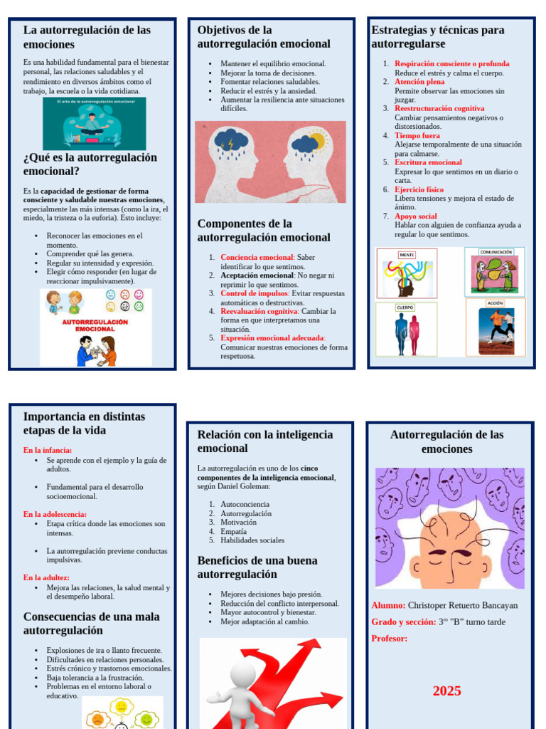 Estrategias de Autorregulación Emocional | PDF | Las emociones ...