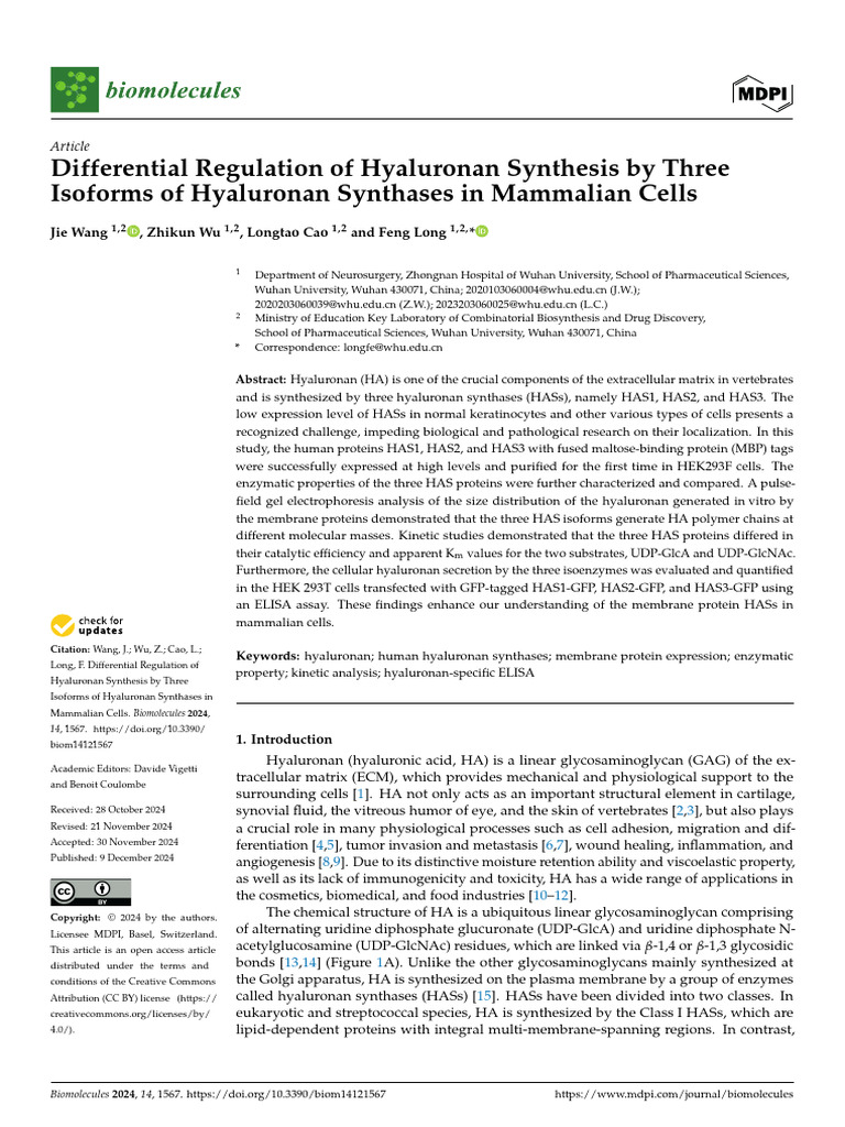 Hyaluronan Synthases: Differential Regulation in Mammals | PDF ...