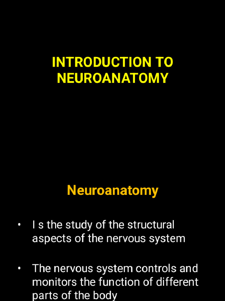 INTRODUCTION TO CNS 1 - Phoenix | PDF