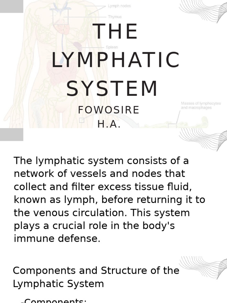 Tracing Lymph Flow in the Body | PDF | Lymphatic System | Lymph