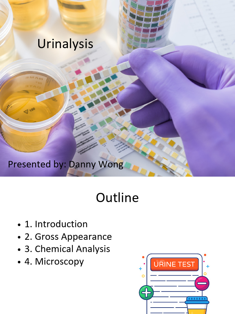 Urinalysis Presentation Pdf Medical Specialties