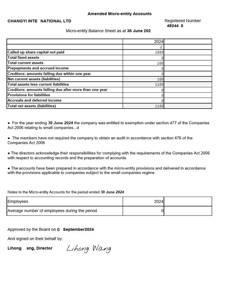 Micro-entity Balance Sheet Template | PDF | Deferral | Corporations