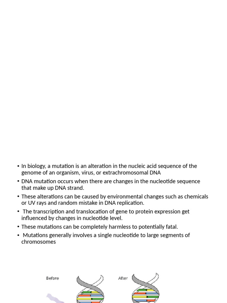 DNA Mutation | PDF