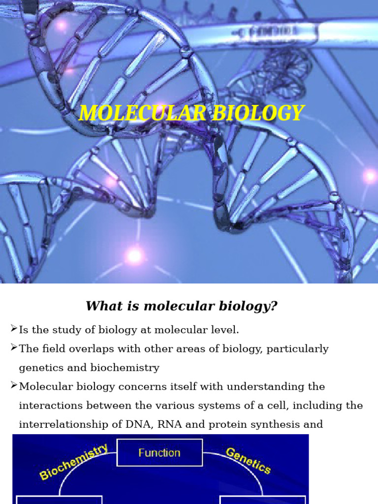 Understanding Molecular Biology Basics | PDF | Dna Replication ...