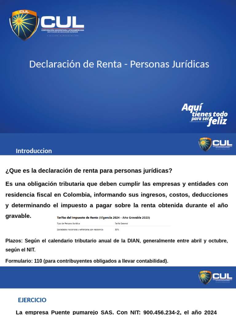 Declaracion de Renta | PDF