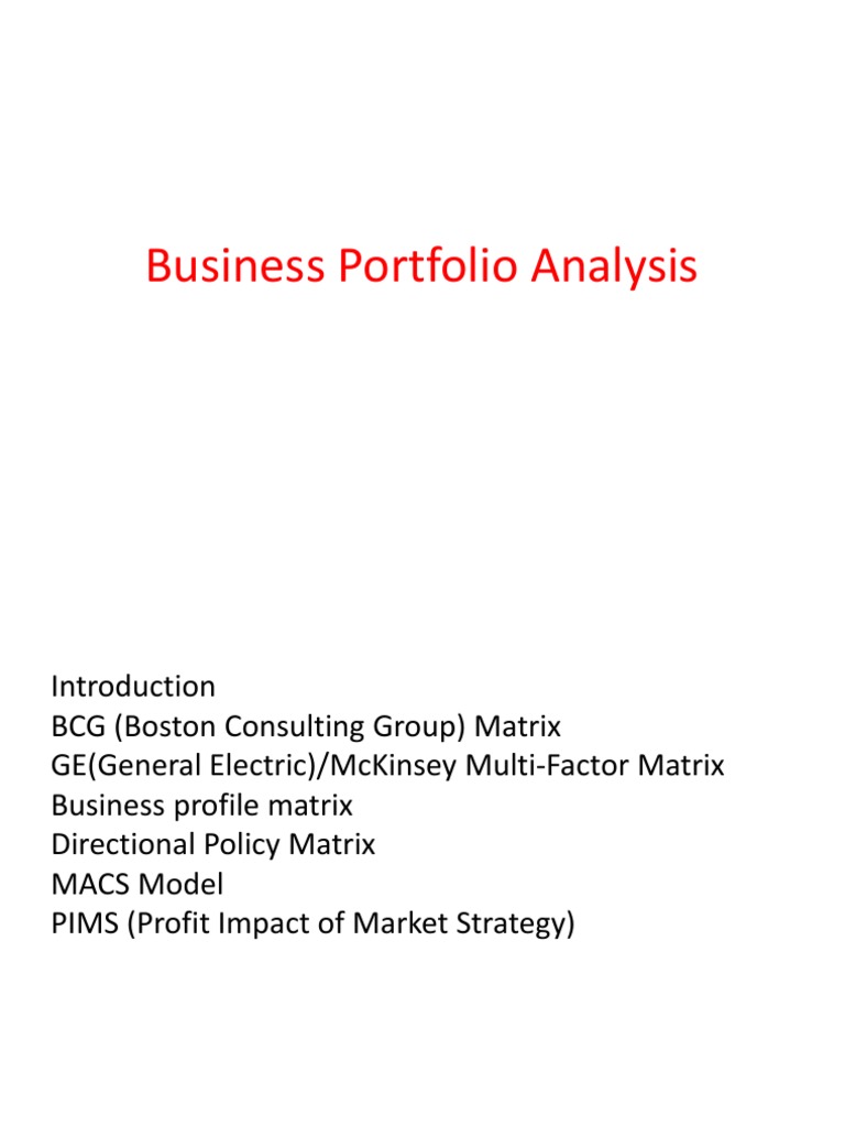 Business Portfolio Analysis | PDF | Competition | Investing