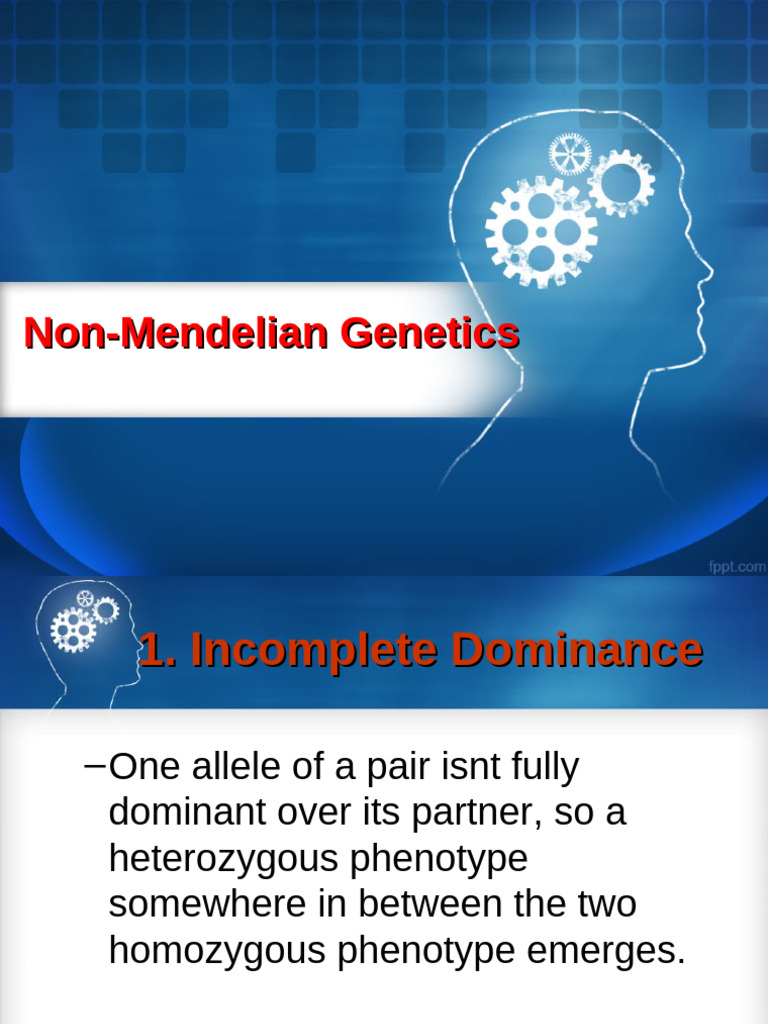 Non-Mendelian Genetics Explained | PDF | Dominance (Genetics) | Zygosity