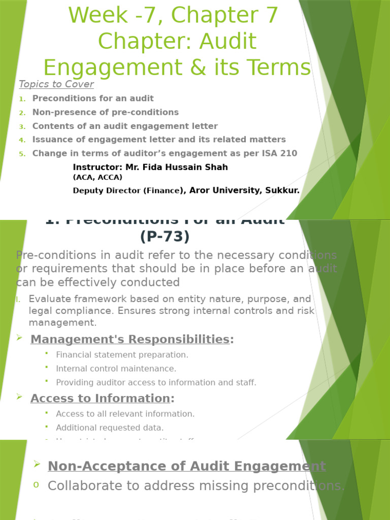 Audit Engagement Terms and Preconditions | PDF | Audit | Financial Audit