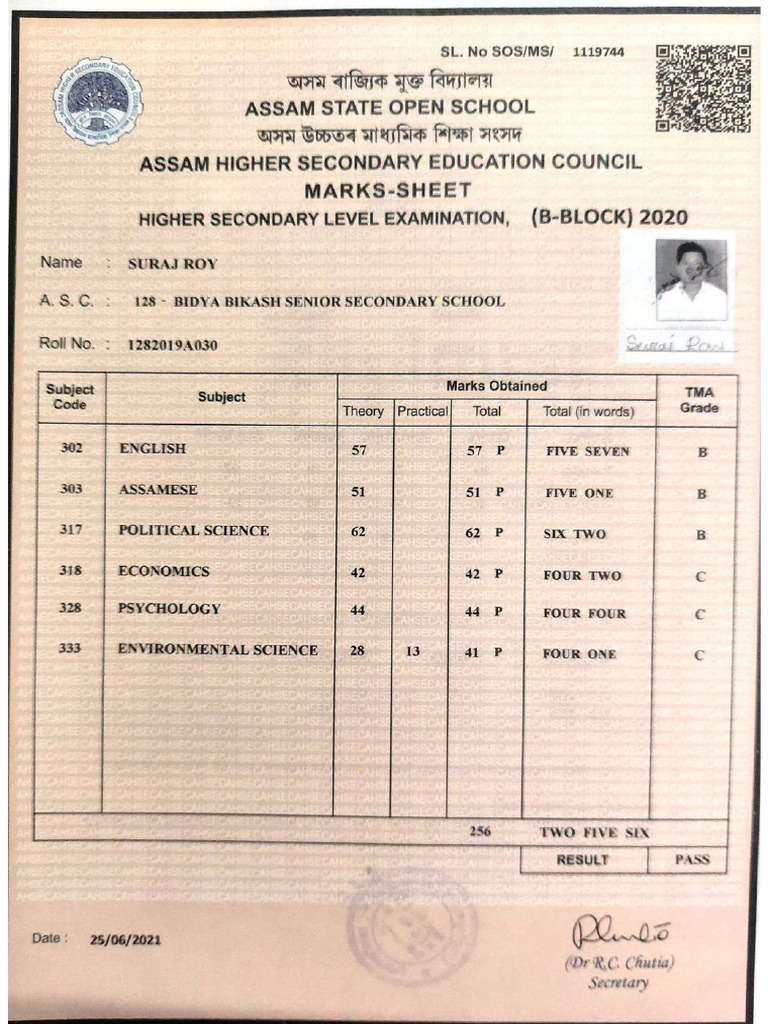 12 MARKSHEET Compressed | PDF