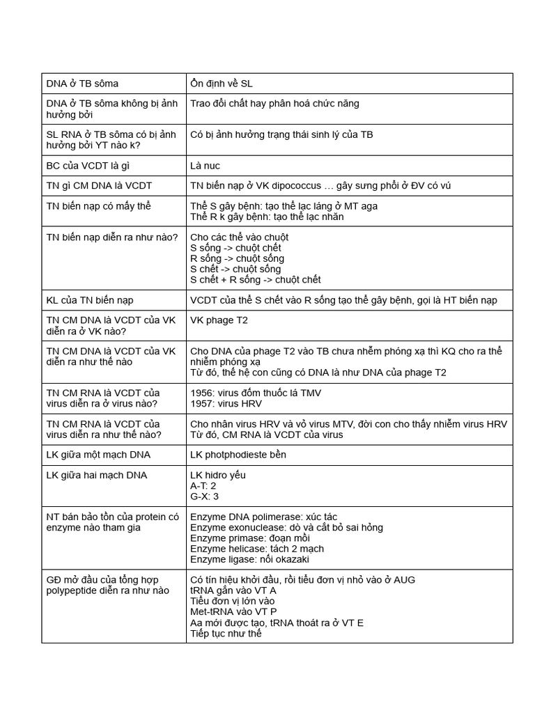 1st Year Med - SHDT - VN | PDF