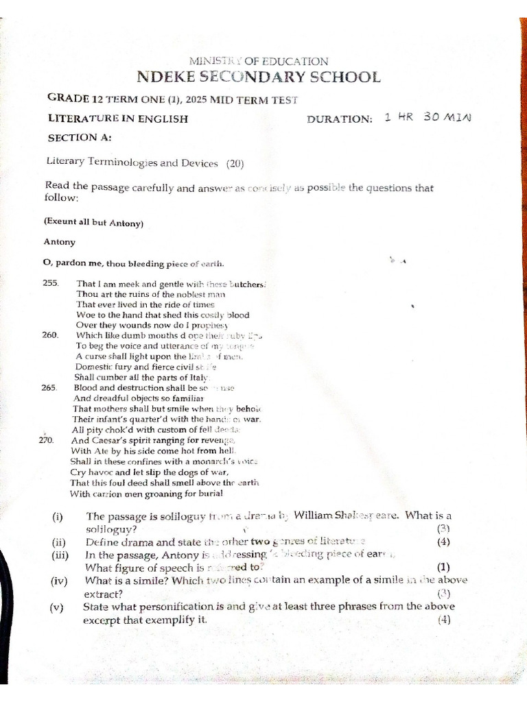g12 Literature p1 Mid Term Test | PDF