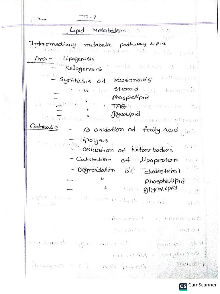 C Batch Lipid Metabolism Notes PDF | PDF