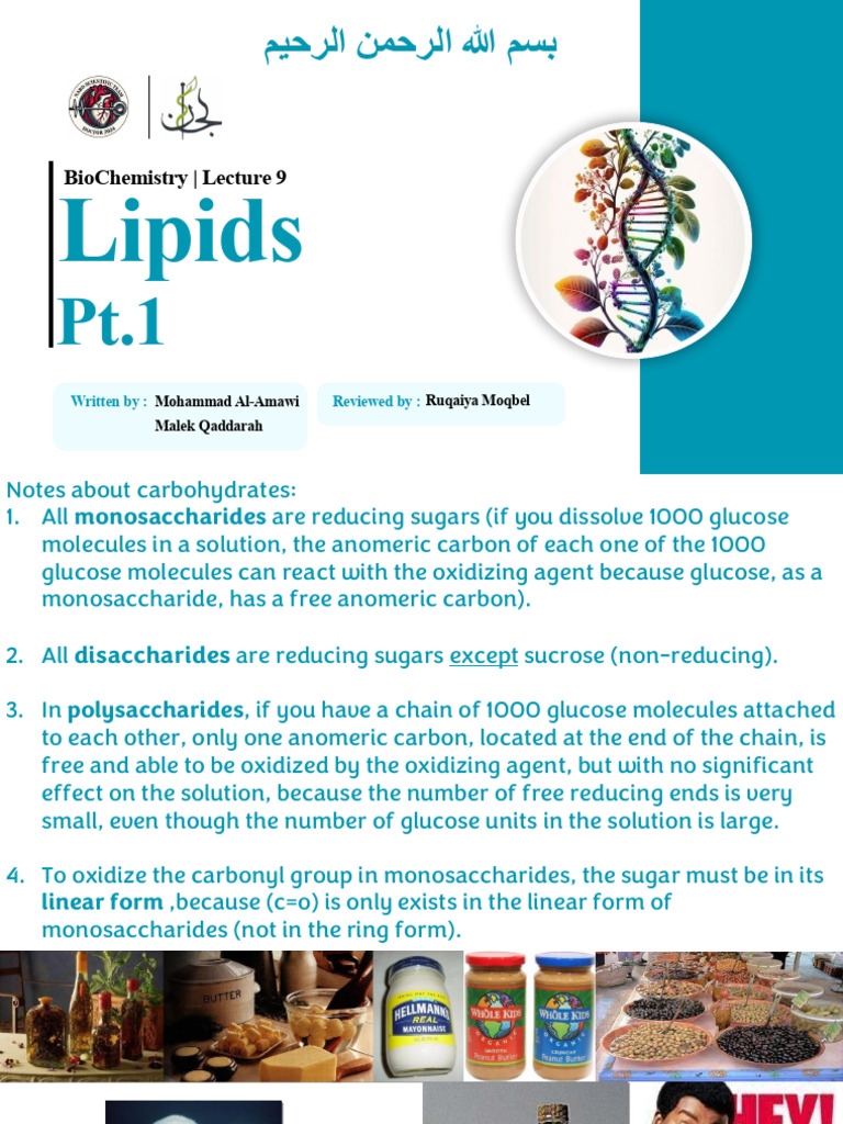 Lipids and Carbohydrates Overview | PDF | Lipid | Triglyceride