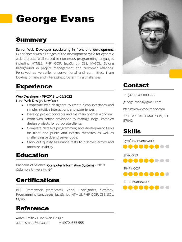 CV Template | PDF