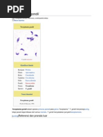 Download Toxoplasma gondii by Nurull Aini Fadilah SN89327575 doc pdf