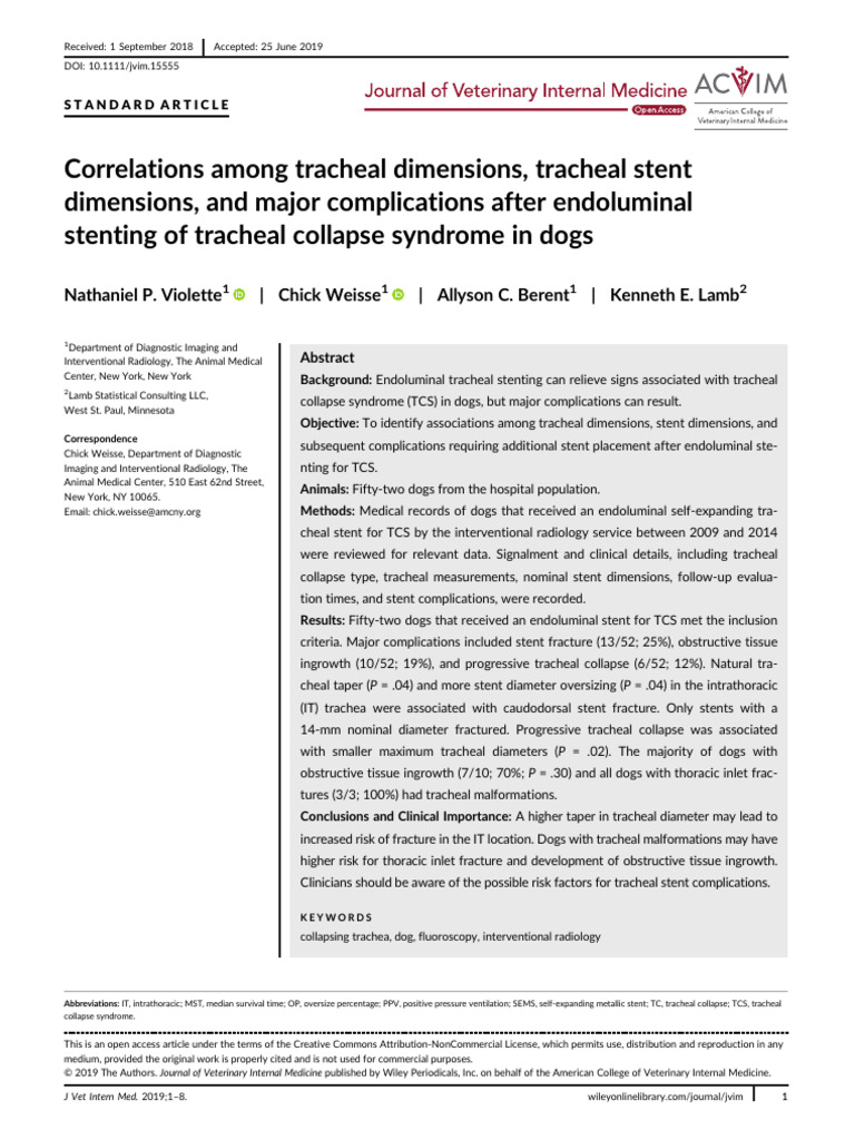 Tracheal Stenting Complications in Dogs | PDF | Stent | Radiology
