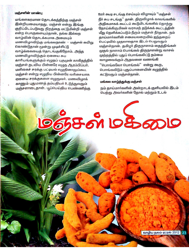 Manjal - Benefits | PDF