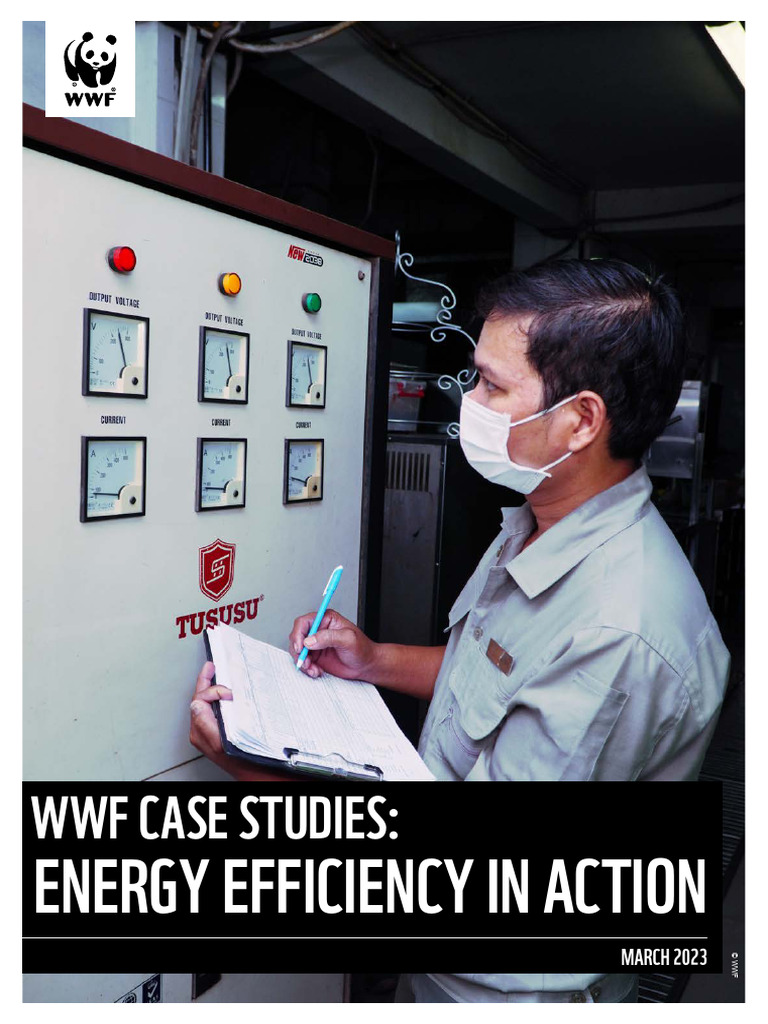 WWF Case Studies Energy Efficiency in Action | PDF | Compact ...