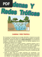Download Diapositivas Redes Troficas Quimica Ambiental Reparado by Job Lpez SN89331613 doc pdf
