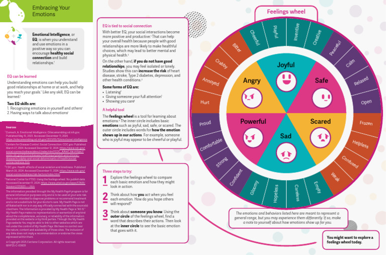 Mastering Emotional Intelligence Skills | PDF | Feeling | Emotions
