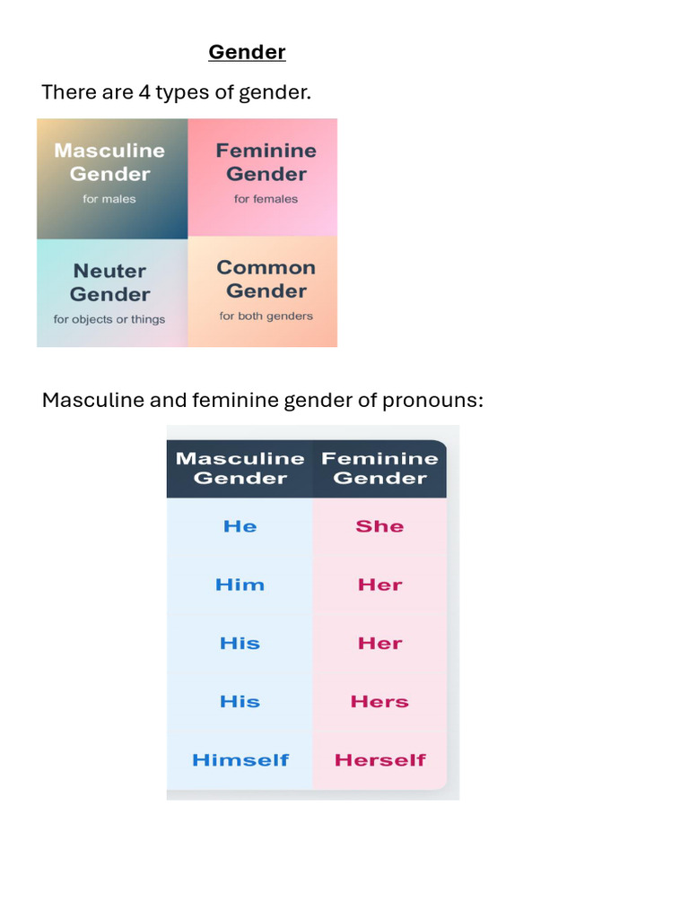 Gender Pronoun Transformation Exercises | PDF