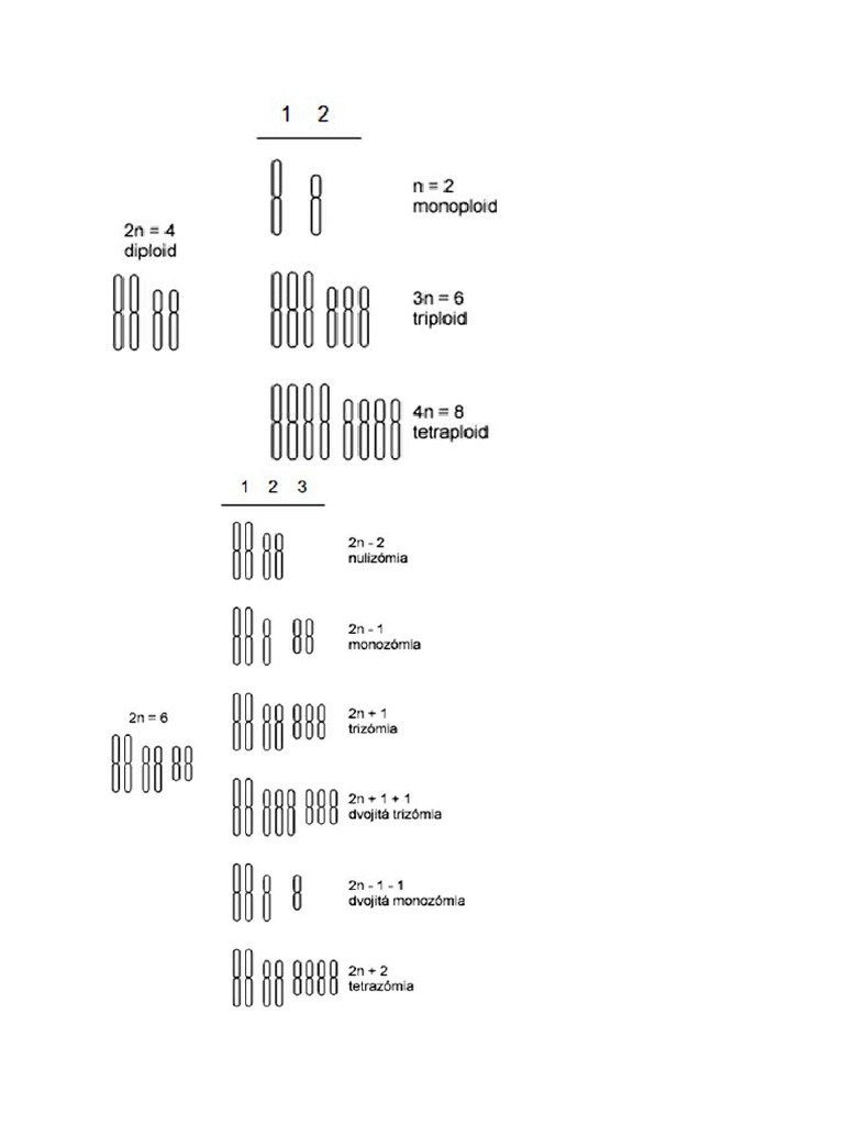 Mutacie (Monozomia ) | PDF