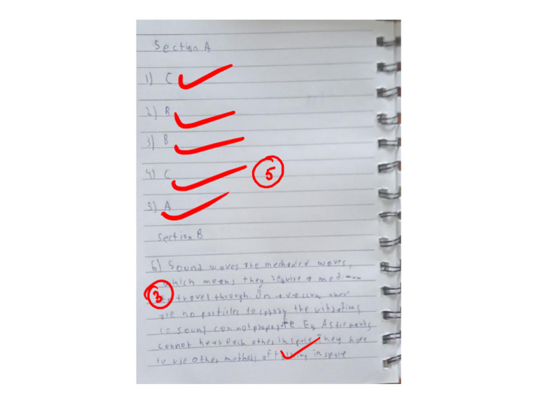 Checked Answer Script | PDF