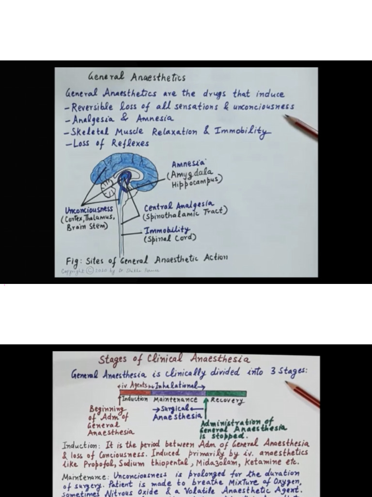 General ANAESTHETICS NOTES Pharmacology | PDF