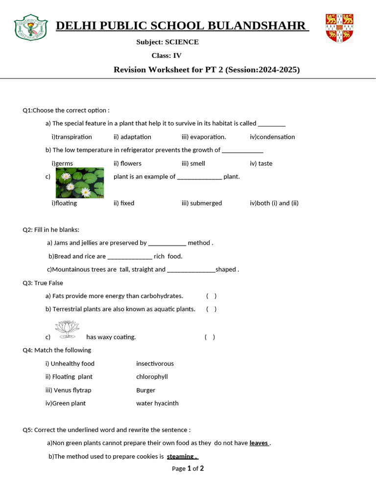 Revision Worksheet IV Science | PDF | Plants | Foods
