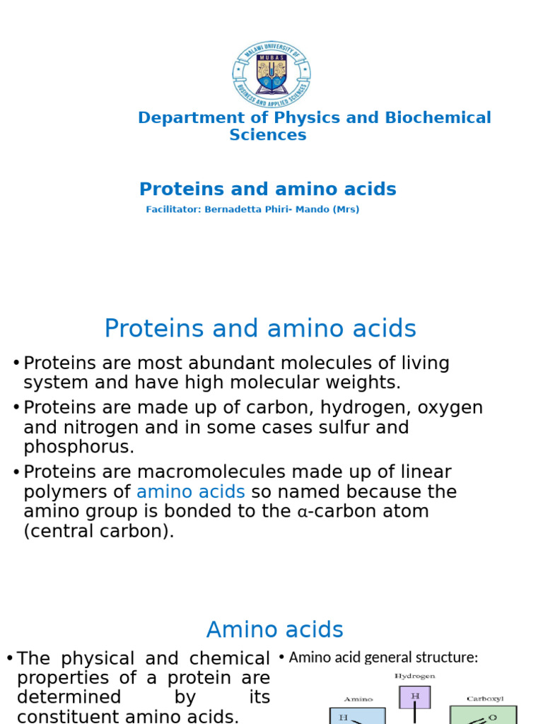 Proteins and Amino Acids | PDF | Amino Acid | Proline