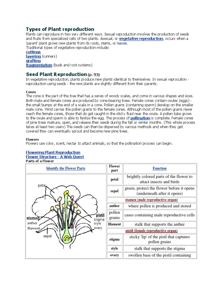 Types of Plant Reproduction | Sexual Reproduction | Plant Reproduction