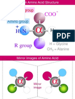 Amino Acid 1