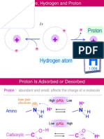 Amino Acid 2