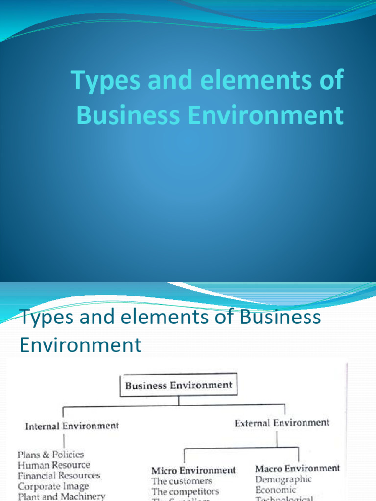 Understanding Business Environment Types | PDF | Policy | Human Resources