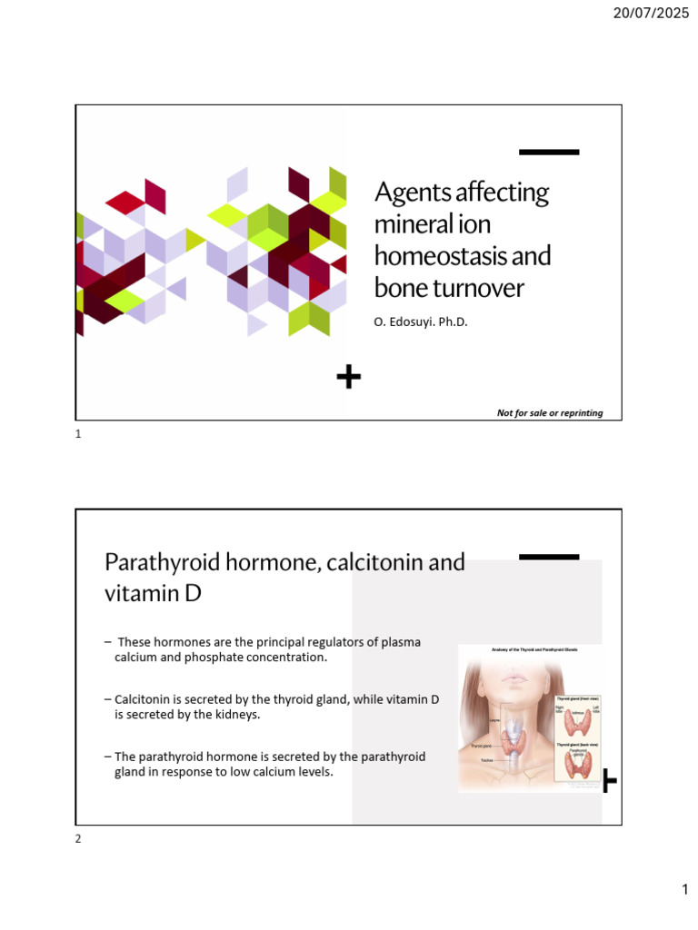 Hormonal Regulation of Bone Health | PDF | Vitamin D | Calcium