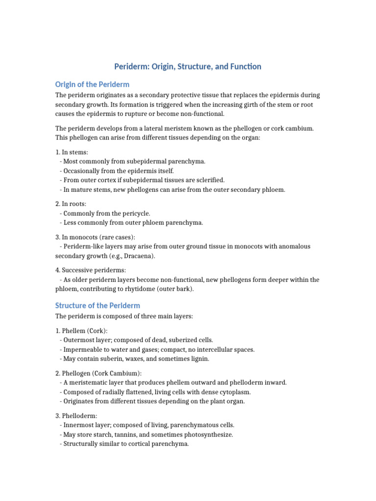 Periderm: Structure and Function Overview | PDF | Plant Stem | Tissue ...