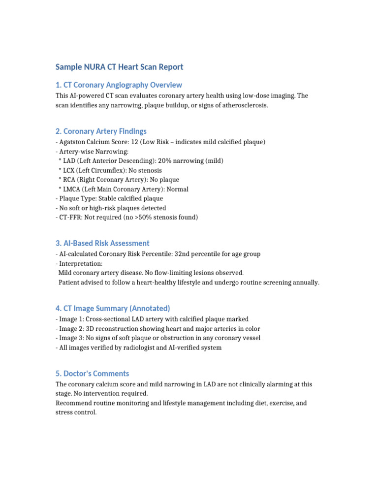 AI CT Heart Scan Report Summary | PDF