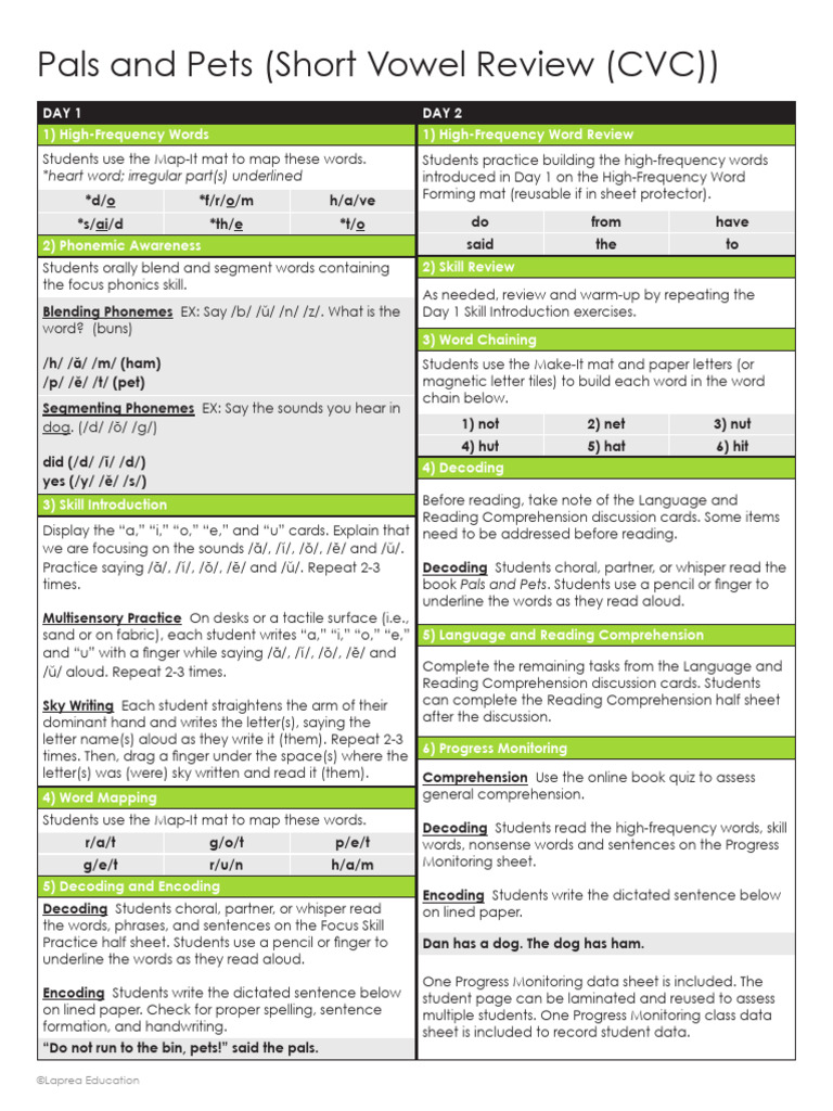 Short Vowel Review Activities Guide | PDF | Phonics | Cognitive Science