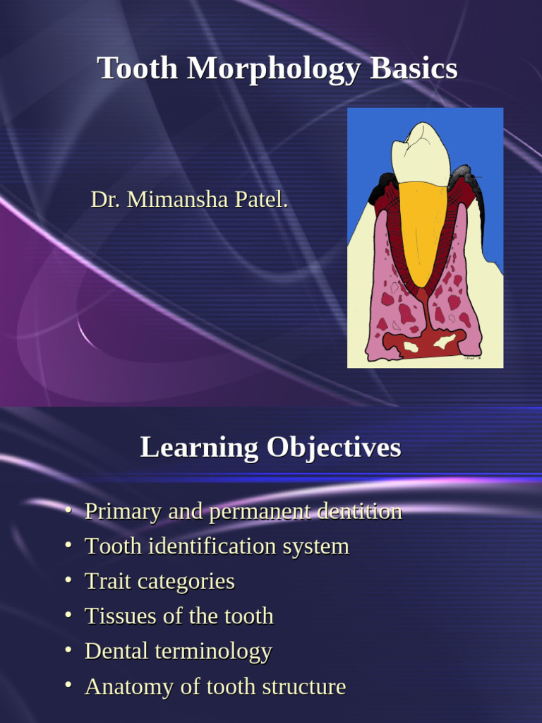 1736416561 Tooth Morphology Basics | PDF | Dental Anatomy | Dentistry ...